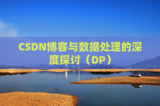 CSDN博客与数据处理的深度探讨（DP）